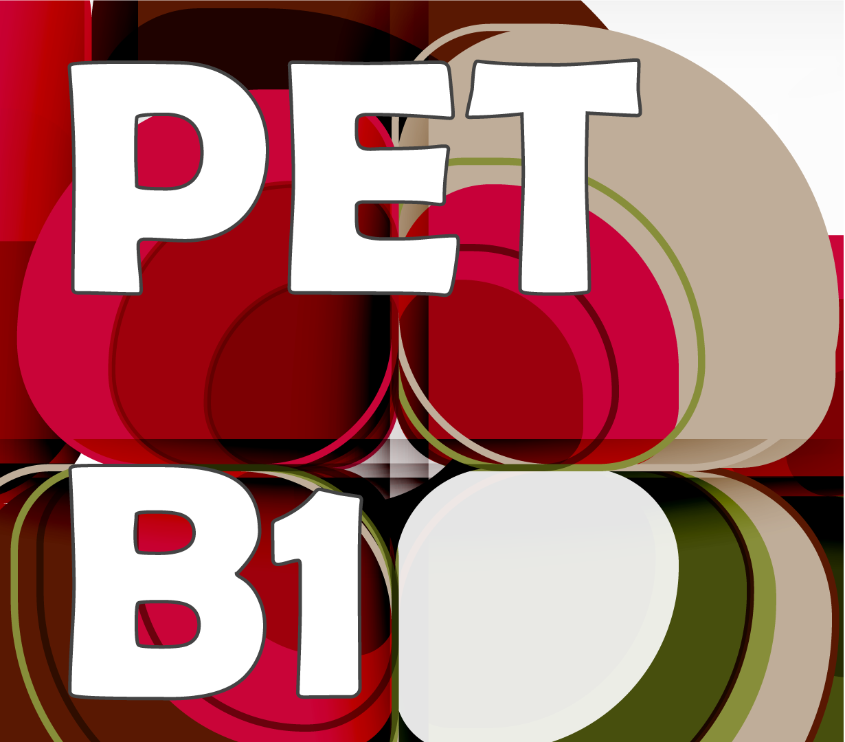 Protected: PET B1 Course